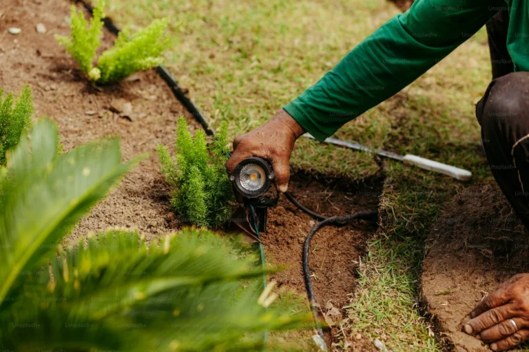 Sod Removal and Replacement