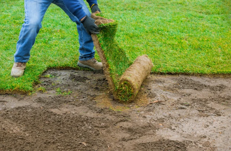 Sod Installation