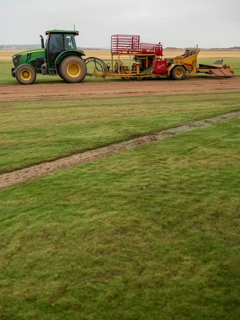 Commercial Sod Services